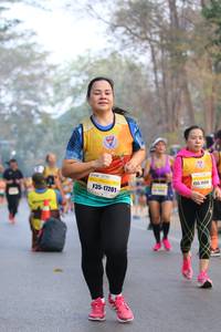 BIB: 17201
                            <button type="button" onclick="openModal(10412640)" class="btn btn-primary btn-sm float-right btn-popup" data-toggle="modal" data-target=".modal-high-quality">
                        <i class="fas fa-shopping-cart"></i> Add to Cart
                    </button>
                                            <button type="button" onclick="isThisMe(10412640, true)" class="btn btn-success btn-sm float-right btn-popup btn-isme hidden" data-toggle="tooltip" data-placement="bottom" title="นี่คือรูปของคุณใช่ไหม คลิกที่นี่เพื่อเอาเข้าอัลบั้ม">
                        <i class="fas fa-plus"></i> Add to album
                    </button>
                    <button type="button" onclick="isThisMe(10412640, false)" class="btn btn-warning btn-sm float-right btn-popup btn-isnotme hidden">
                        <i class="fas fa-ban"></i> Remove from album
                    </button>